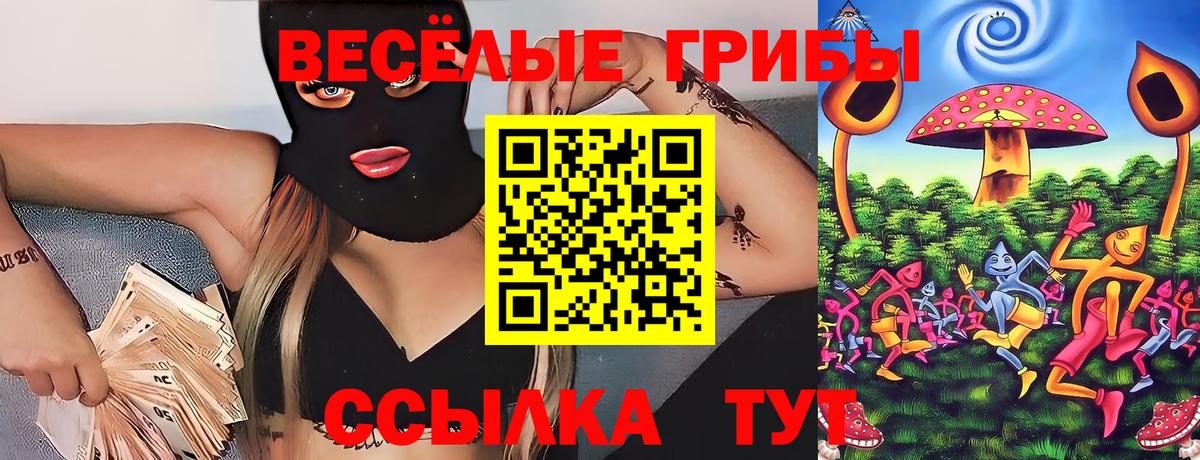 Псилоцибиновые грибы GOLDEN TEACHER Россия
